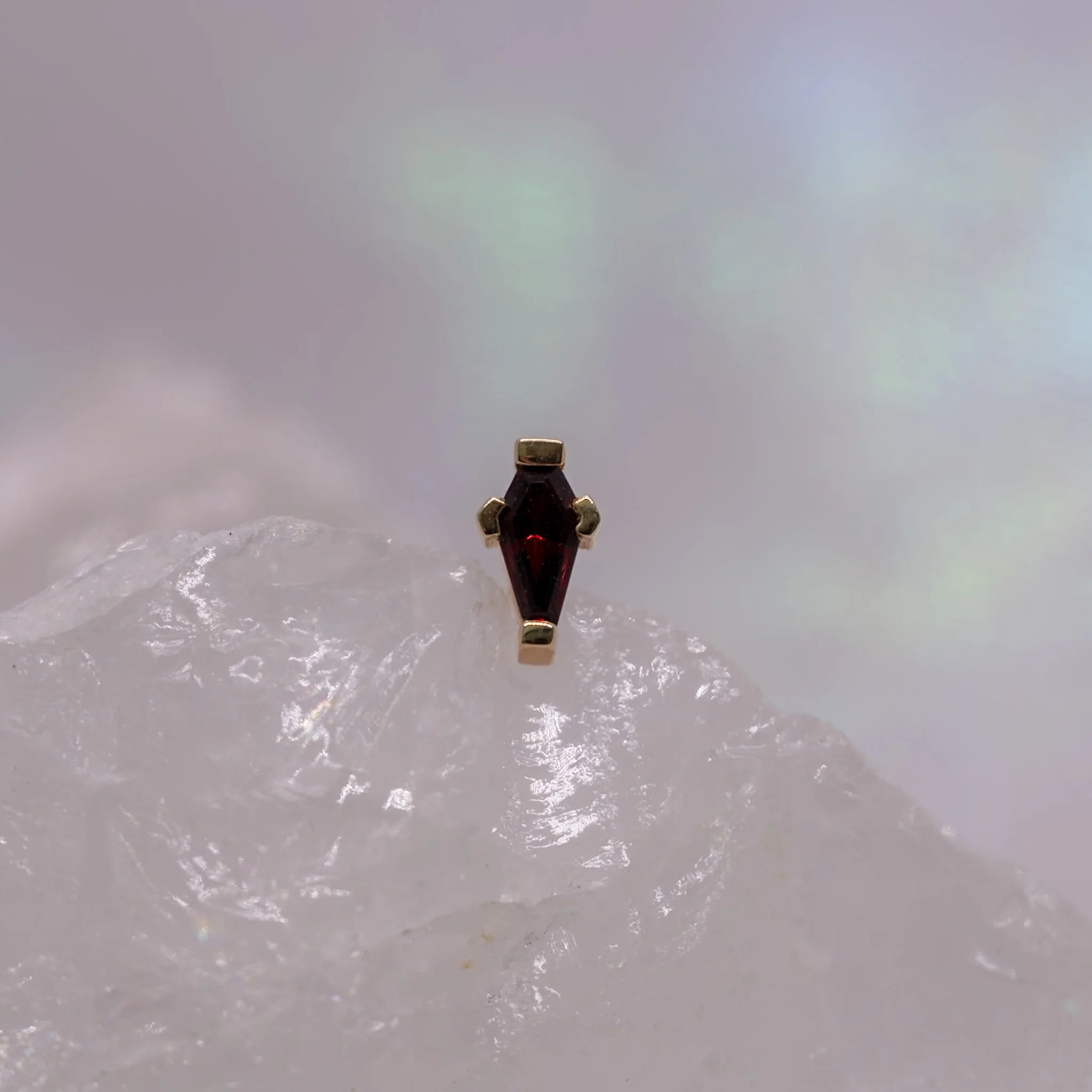 BVLA Coffin Prong - Threaded - Image 3