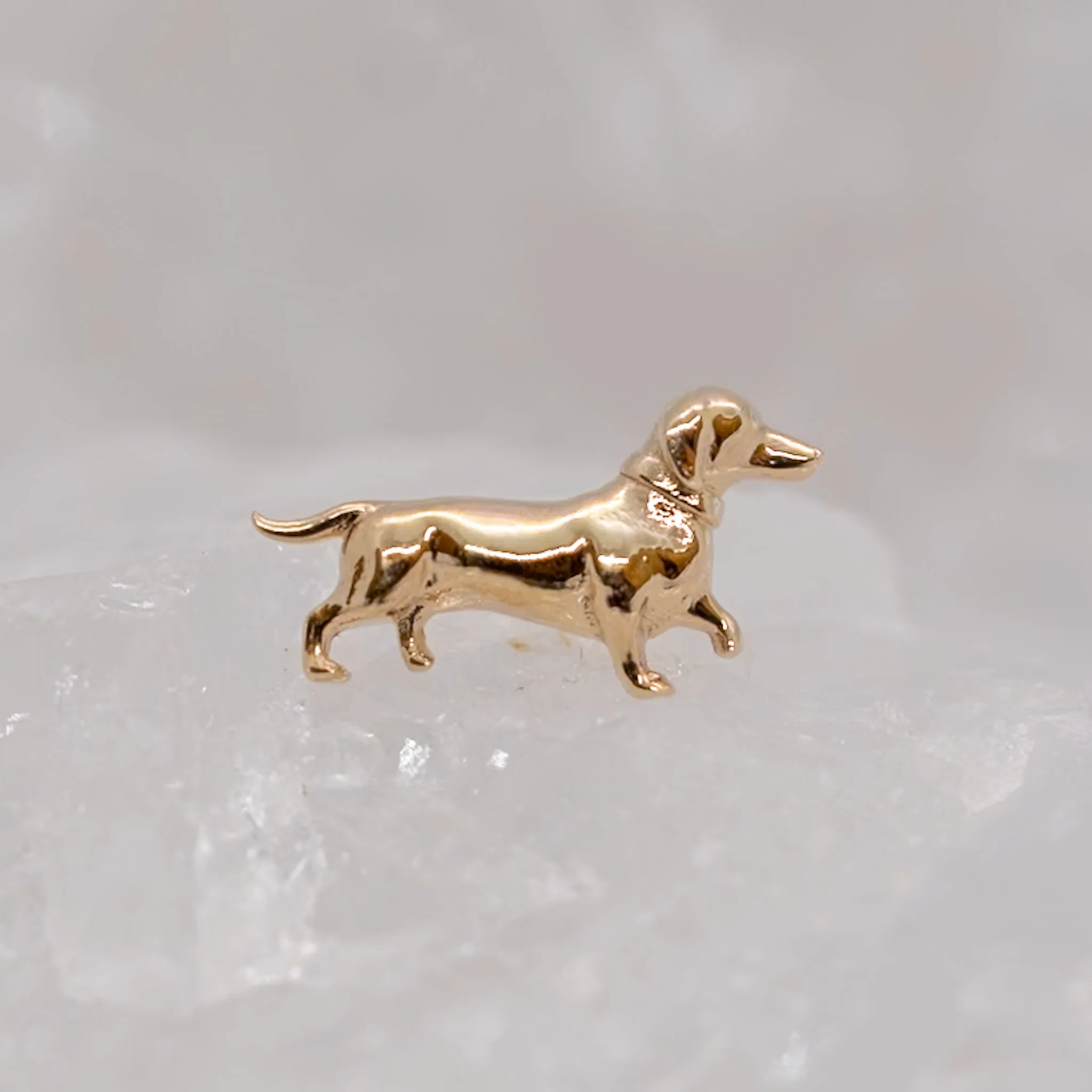 BVLA Dachschund - Threaded