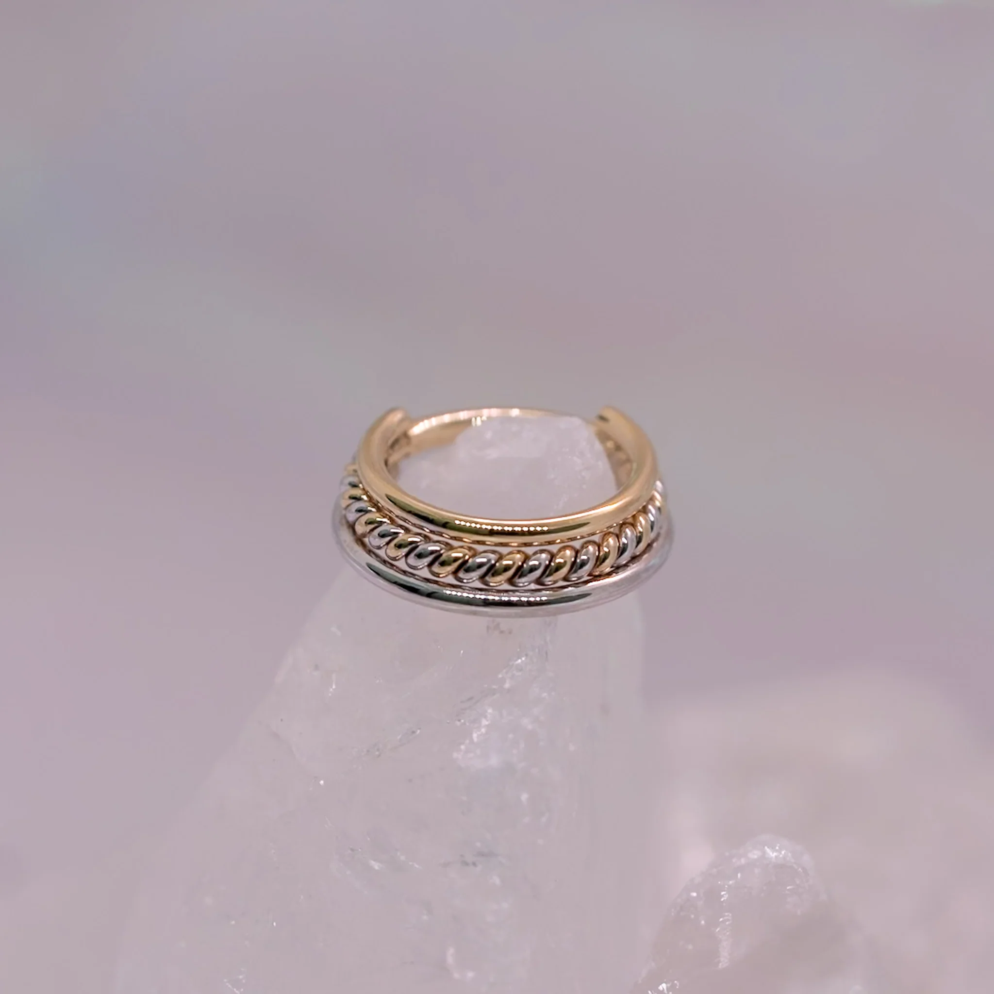 BVLA Mars Hinge Ring - Image 2