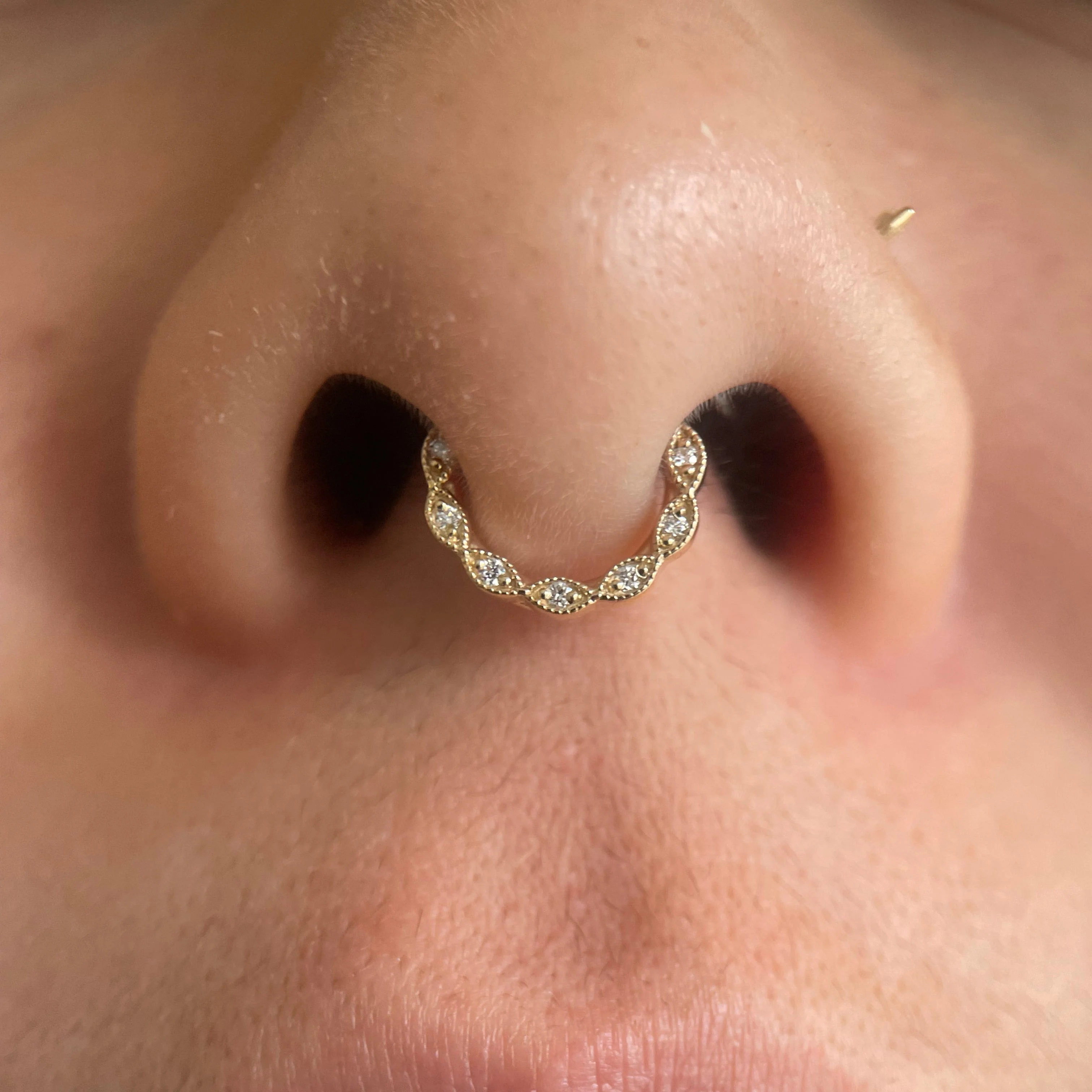 BVLA Violet Seam Ring - Septum Oriented - Image 5