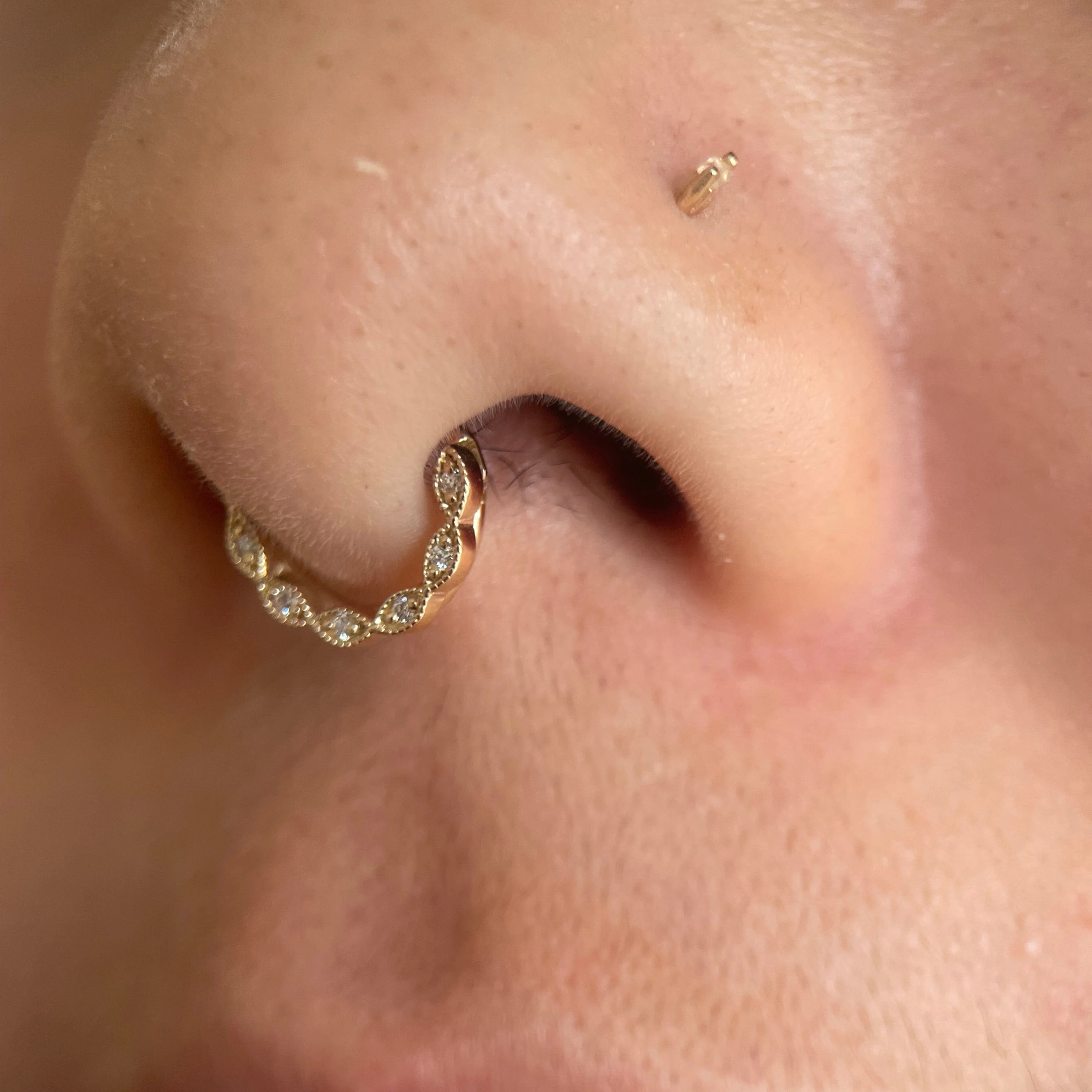 BVLA Violet Seam Ring - Septum Oriented - Image 6