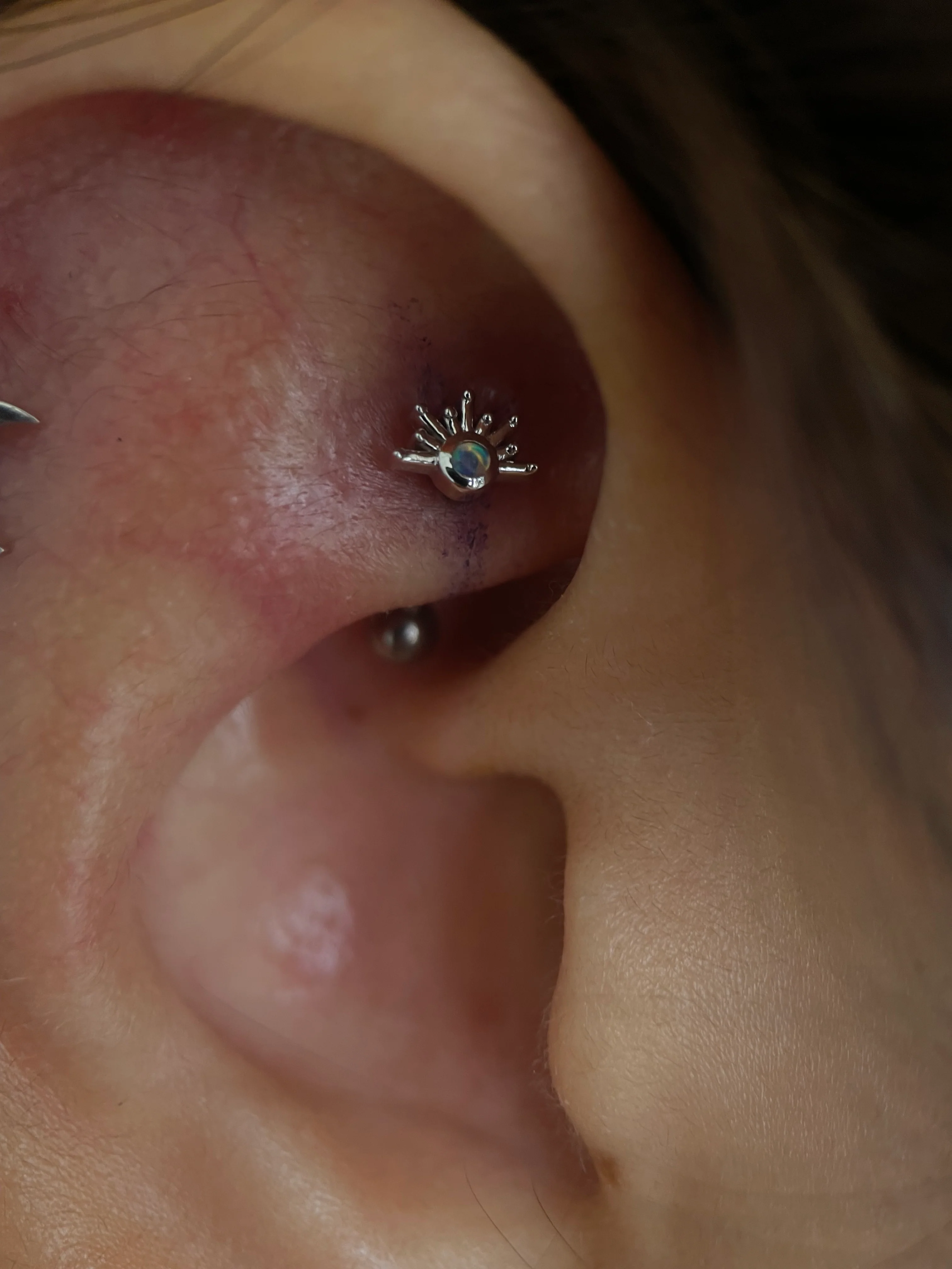 Rook Piercing - Image 30